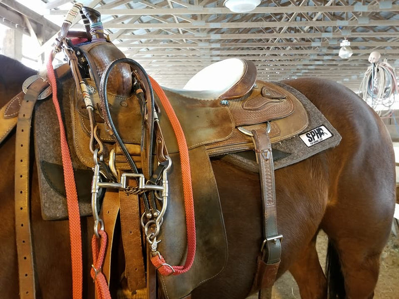 A New York Happy Rider!