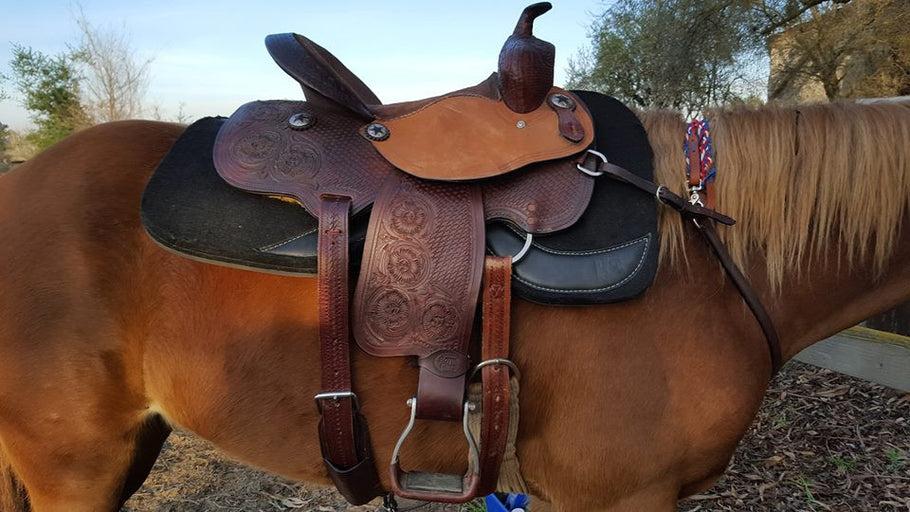 Another Happy Horse and Rider!